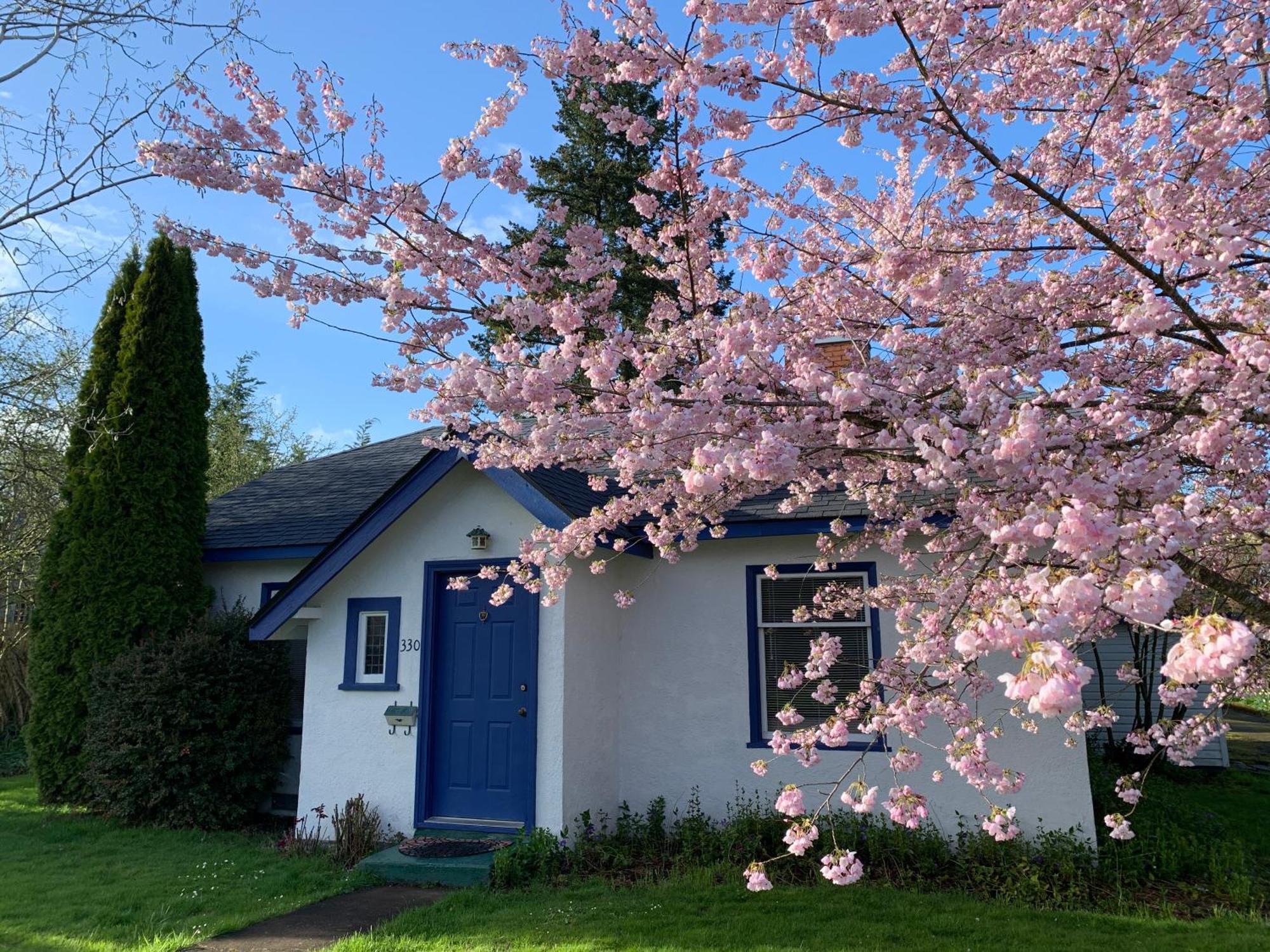 Cherry Tree House Monmouth Exterior photo
